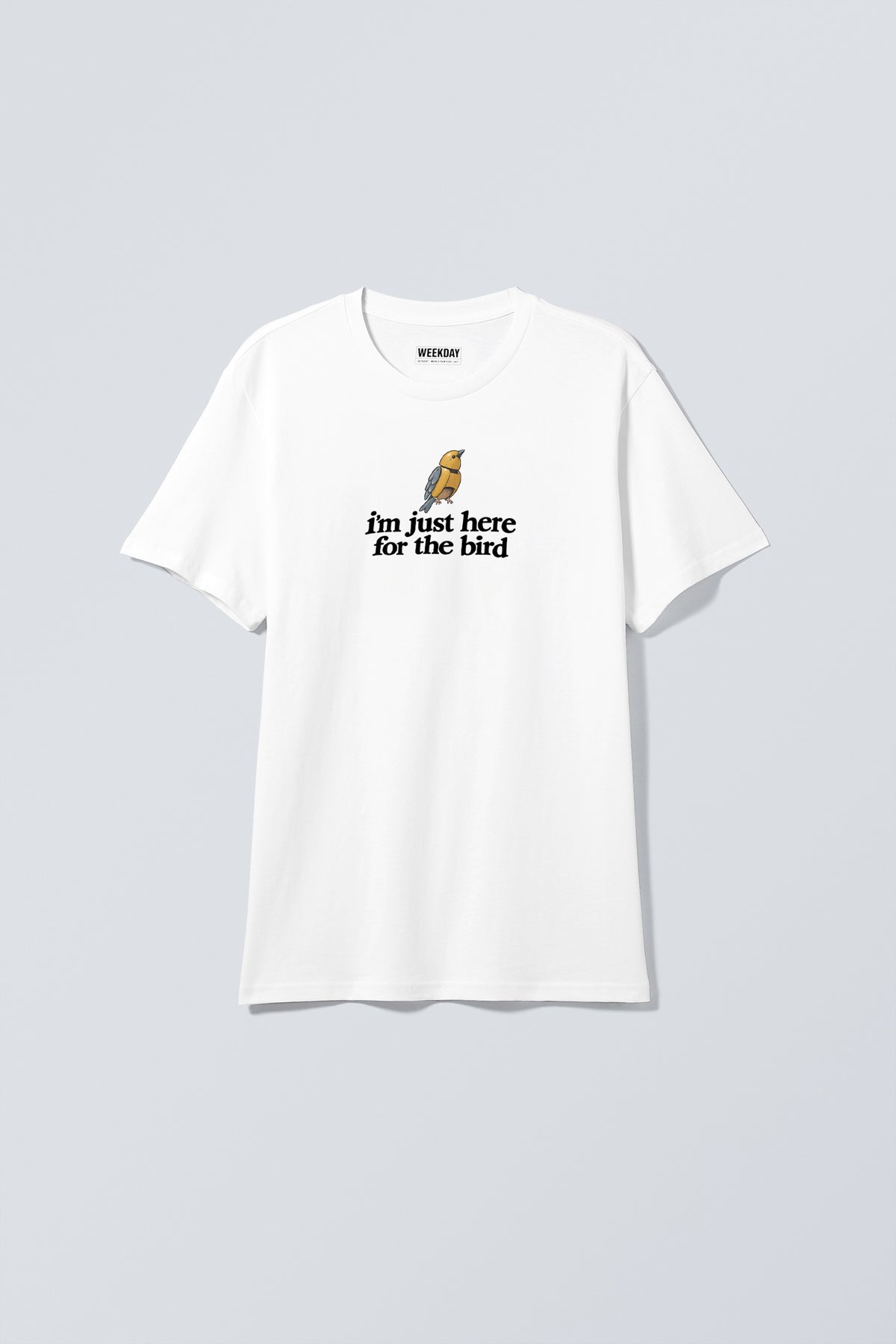 WEEK 42 STANDARD WHITE